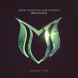 Sergey Salekhov & Trance Reserve - Molecule (Extended Mix)