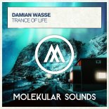 Damian Wasse - Trance Of Life (Extended Mix)