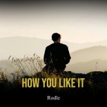 Rodle - How You Like It