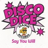 Disco Dice - Say You Will