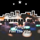 Pringy - Feel the Vibe