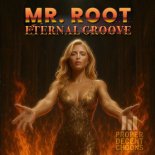 Mr. Root - Eternal Groove (Daniel Distinkt Remix)