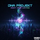 DNA PROJEKT - Right Here Waiting (Original Mix)