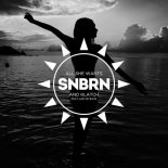 Ace Of Base - All She Wants (SNBRN x KLATCH Remix)