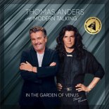 Thomas Anders - It's Christmas  (Thomas' Version)