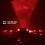 Nicolas Santucci - Need for Speed (Original Mix)