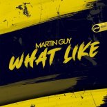 Martin Guy - What Like