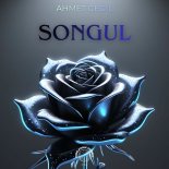 Ahmet Cegil - Songul