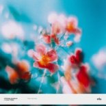 Pryam Sasha - I Can Feel