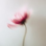 MVRSXX, DALEN & Moretti - So Close