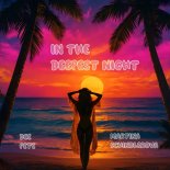 Dee Pete & Martina Schindlerova - In The Deepest Night