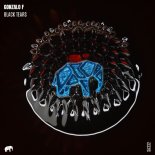 Gonzalo F - Black Tears (Original Mix)