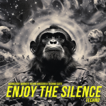 Mainstage Monkey, Kevin Krissen & Techno Cats - Enjoy The Silence
