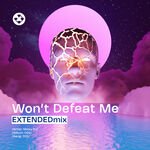Micky DJ - Won't Defeat Me (Extended Mix)