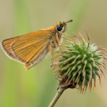 Umberto Pagliaroli - Deep Burp (Extended)