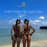 Twins Project DJ's & Agata Bayu - Dream