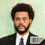 DJ-Niki Beld - Can't Feel My Face (Version 3)