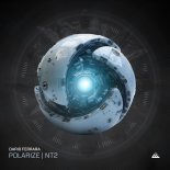 Dario Ferrara - Polarize (Original Mix)