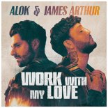 Alok & James Arthur - Work With My Love (Index-1 Extended Remix)
