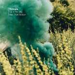 Trutopia Feat. True Motion - Up in the Sky