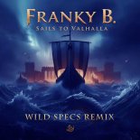 Franky B. - Sails To Valhalla (Wild Specs Remix)