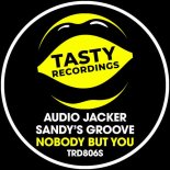 Audio Jacker, Sandy's Groove - Nobody But You (Extended Mix)