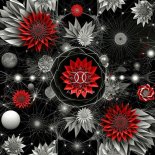 Ashley Black - Black in the Days