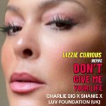 Luv Foundation (UK), Charlie Big, Shanie - Don't Give Me Your Life (Lizzie Curious Extended Remix)