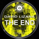 David Lizana - The End (Original Mix)