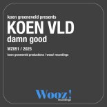 Koen Groeneveld, KOEN VLD - Damn Good (Extended Mix)