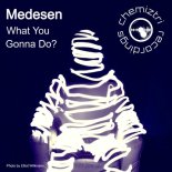 Medesen - What You Gonna Do_ (Extended Mix)