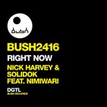 Nick Harvey, Nimiwari, Solidok - Right Now