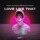 Badjack, Alex D'Rosso & Toon feat. Dayce Williams - Love Like That