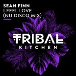 Sean Finn - I Feel Love (Nu Disco Mix)