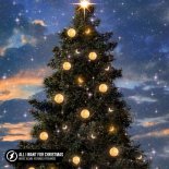 Meric Again & Veronica Pichardo - All I Want For Christmas