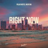Polar Notes & Mentum - Right Now