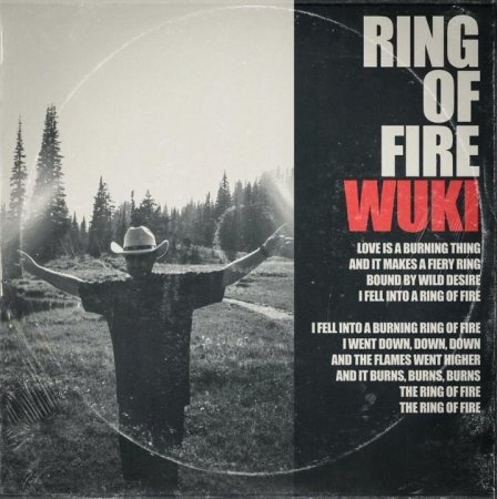 Johnny Cash, Wuki - Ring Of Fire (Ultimix by DJSW Productions 2025 Collini Club Edit) 126 bpm