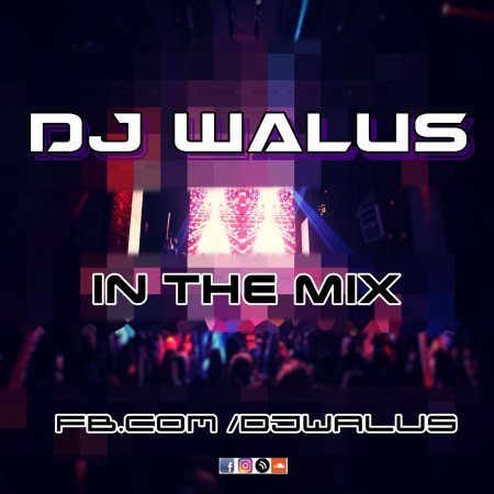 DJ WALUŚ - IN THE MIX 2016
