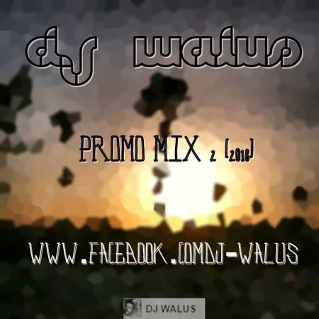 DJ WALUŚ - PROMO MIX 2 2016