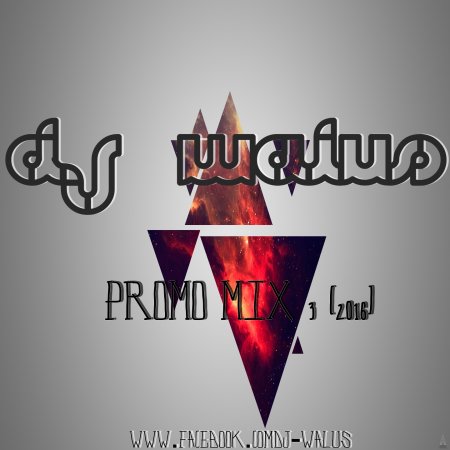 DJ WALUŚ - PROMO MIX 3 2016