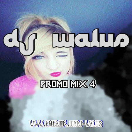 DJ WALUŚ - PROMO MIX 4 2016
