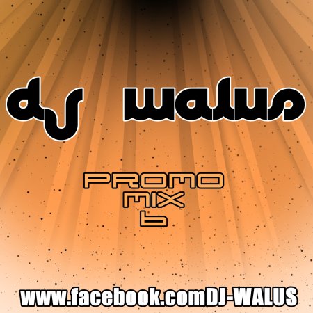 DJ WALUŚ - PROMO MIX 6 2016