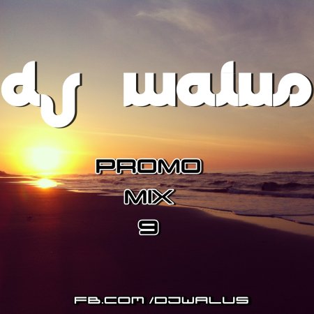 DJ WALUŚ - PROMO MIX 9 2016