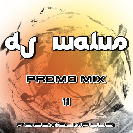 DJ WALUŚ - PROMO MIX 11 2016