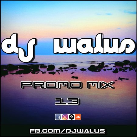 DJ WALUŚ - PROMO MIX 13 2016