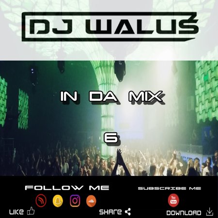 DJ WALUŚ - IN DA MIX 6 2017