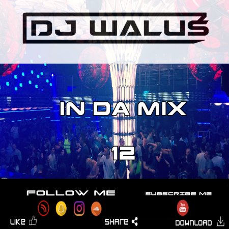 DJ WALUŚ - IN DA MIX 12 2017