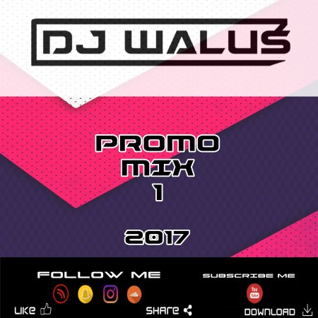 DJ WALUŚ - PROMO MIX 1 (2017)