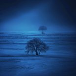 Darmi. - The Past Is Only Getting Further (Sped Up)