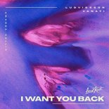 Ludvigsson, Vanati & Amanda Collis - I Want You Back